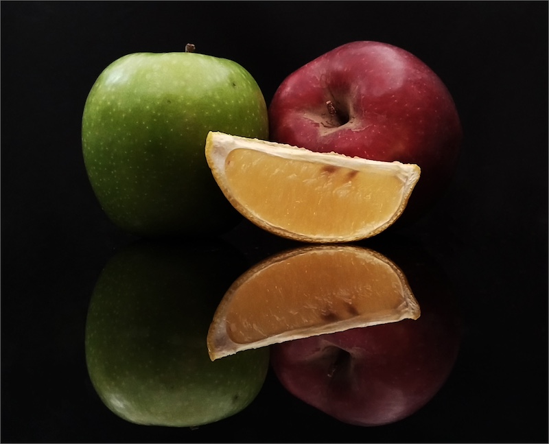 Kroonstad Fotoklub - Elmien Van Den Heever - Healthy Reflection