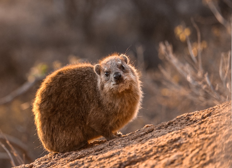 Magalies Foto Fun Club - Oloff  Theunissen - Morning Sunshine