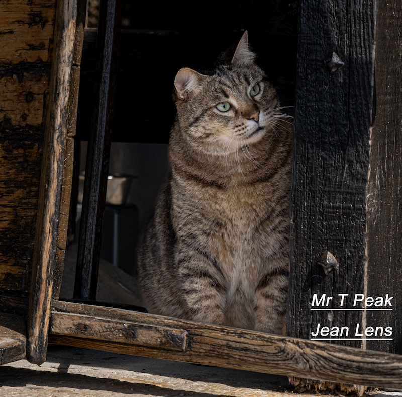 Maritzburg Camera Club - Jean Lens - Mr T Peak