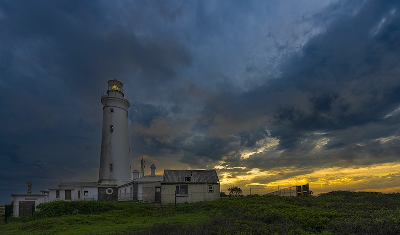 Port Elizabeth Camera Club - Blayne Scholtz - Storm soldier