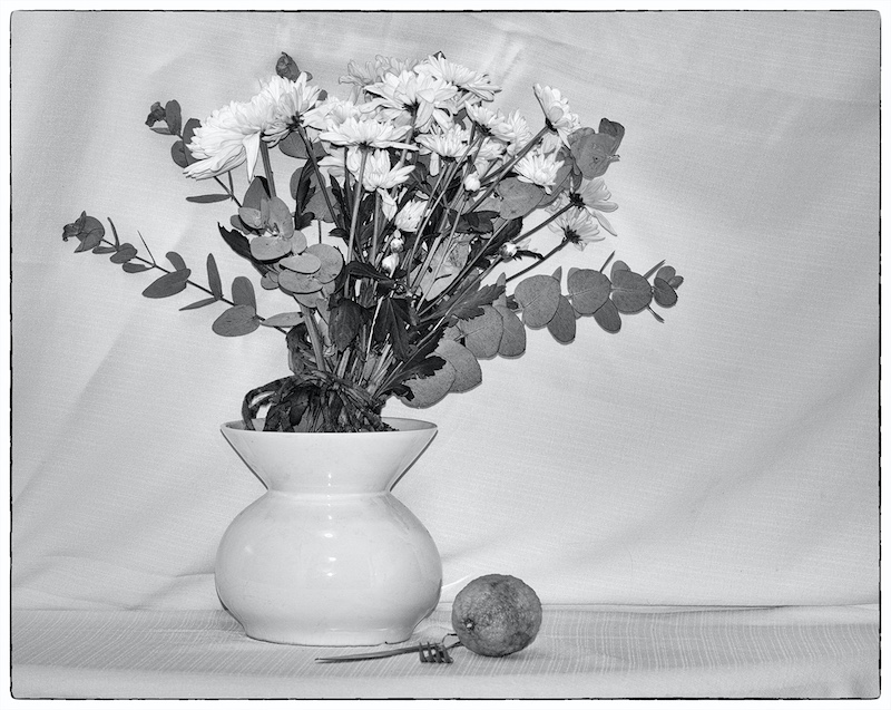 Schools - Western Cape Youth Photographers - Antonique Delport - flower stillife