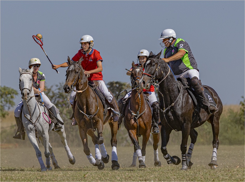 Southern Suburbs Camera Club - Antonio Ferreira - Catch me if you can