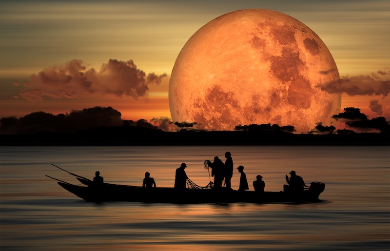 Benoni Camera Club - Belinda Ueckermann - Moonlight fishing