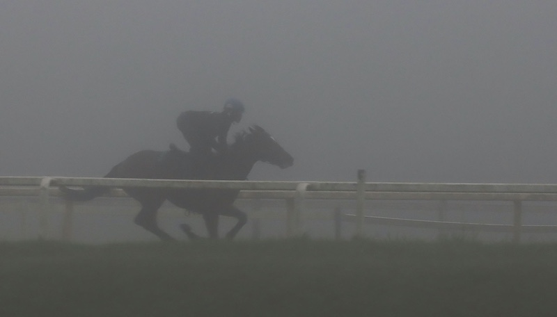 Bluff Camera Club - Wynand Grobler - Riding in the mist