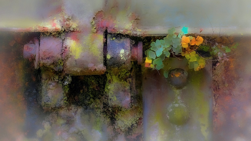 Highway Camera Club - Hugh Watson - Colourful decay