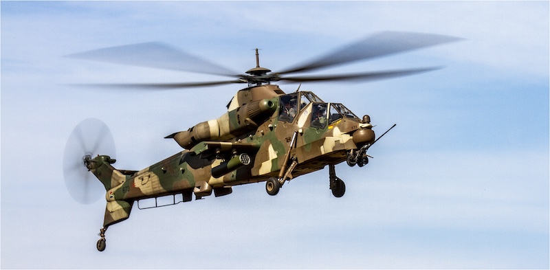 Klerksdorp Fotografie Klub - Jacobus  Vorster - Valk