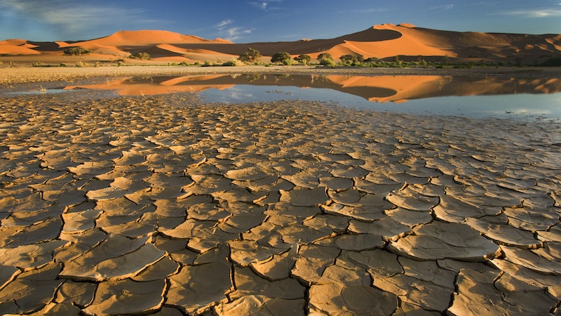 Paarl Photographic Club - Johan Beyers - Sossos after the rain