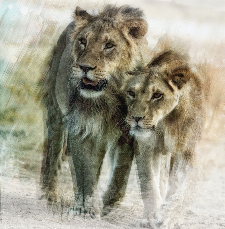 Tygerberg Photographic Society - Marleen La Grange - Side by Side