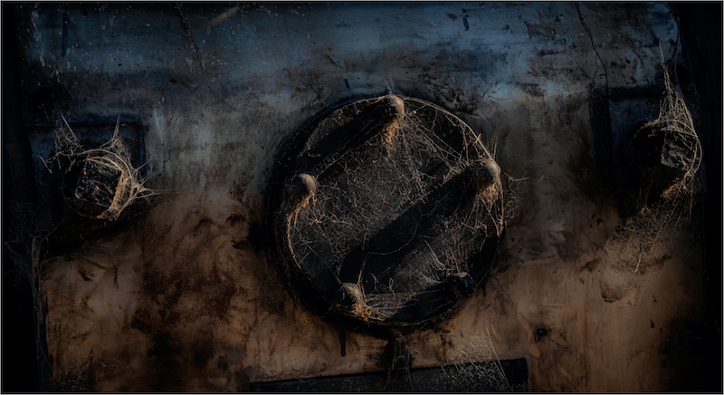 Chloe  Sarikaki - Schools - Charlie Hofmeyr HS - Spiderwebs in last light