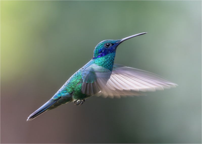 Craig Morgan - Randburg Foto Klub-Randburg Photo Club - Aerial Serenade