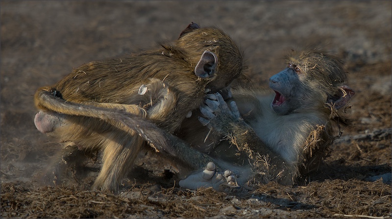 Leon Venter - Bethal Fotografie Klub - BIG FIGHT