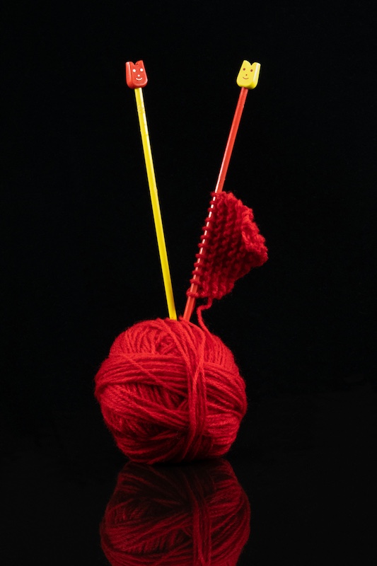 Louise De Lange - Witzenberg Photographic Society - Red and Yellow