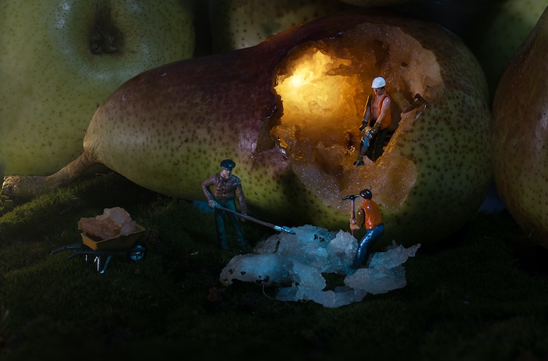 MONIQUE VAN ROOYEN - Klerksdorp Fotografie Klub - Fruit miners