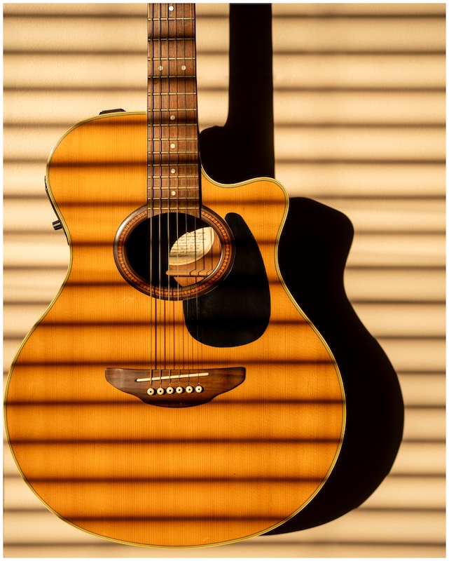 Durban Camera Club - Andrew de Beer - Strum the morning sunlight