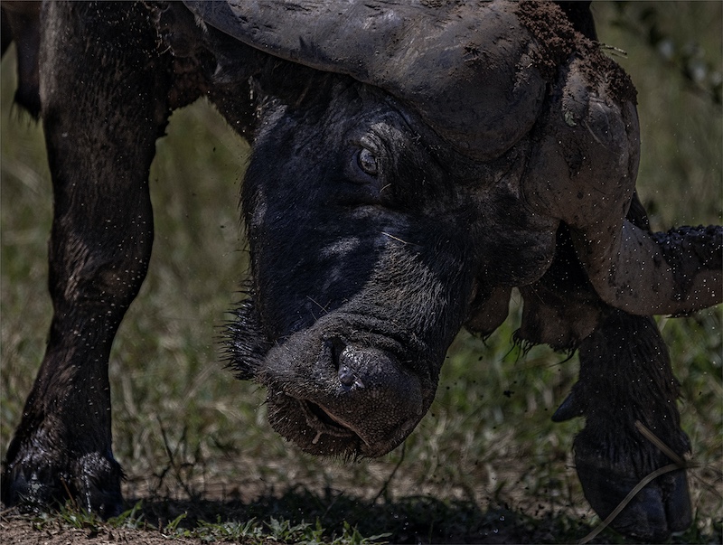 Kriel Foto Club - Rika Horn - Gee pad voor my