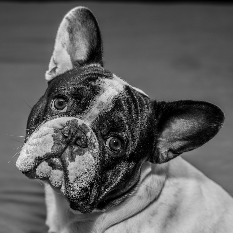 SAVAS - Dorita  Briel - love