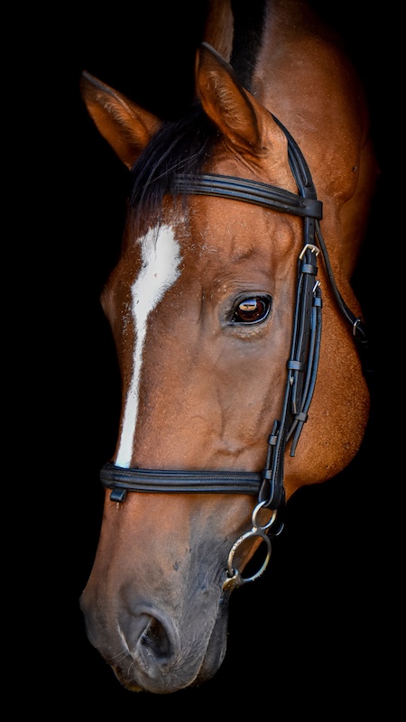 Sandton Photographic Society - Lucinda   Engelbrecht - Fine Art