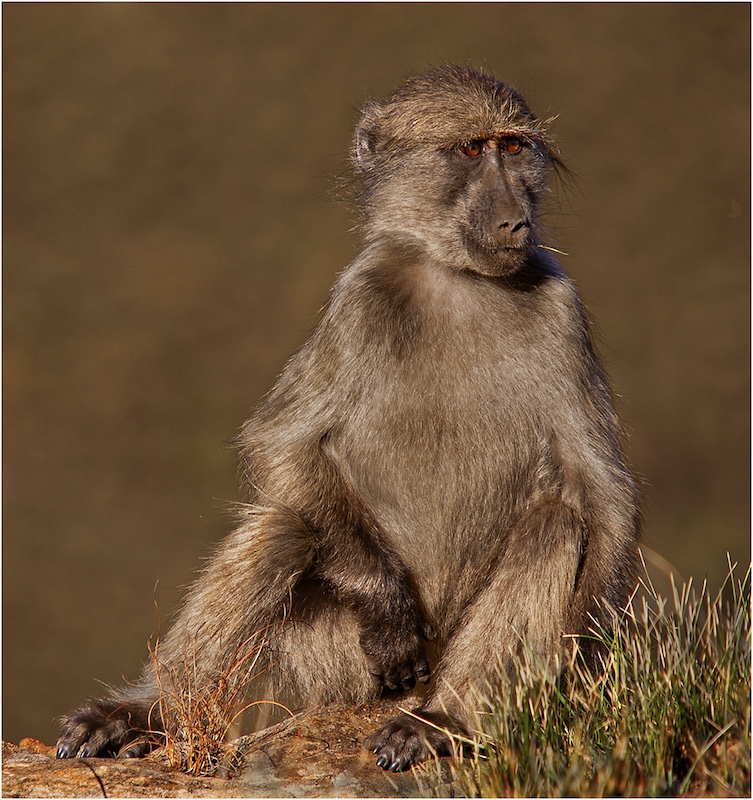 Southern Suburbs Camera Club - Antonio Ferreira - Sitting on cliff edge