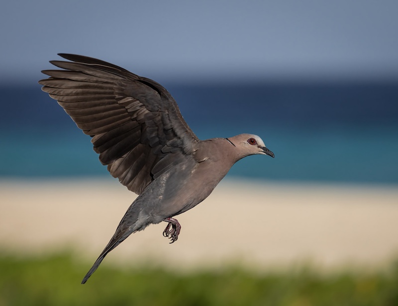 Ballito Photo Club - John Louw - At the Beach