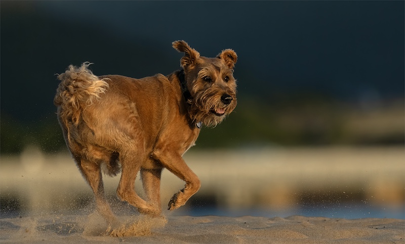 Bloemfontein Kameraklub - Geo Jooste - Look Back