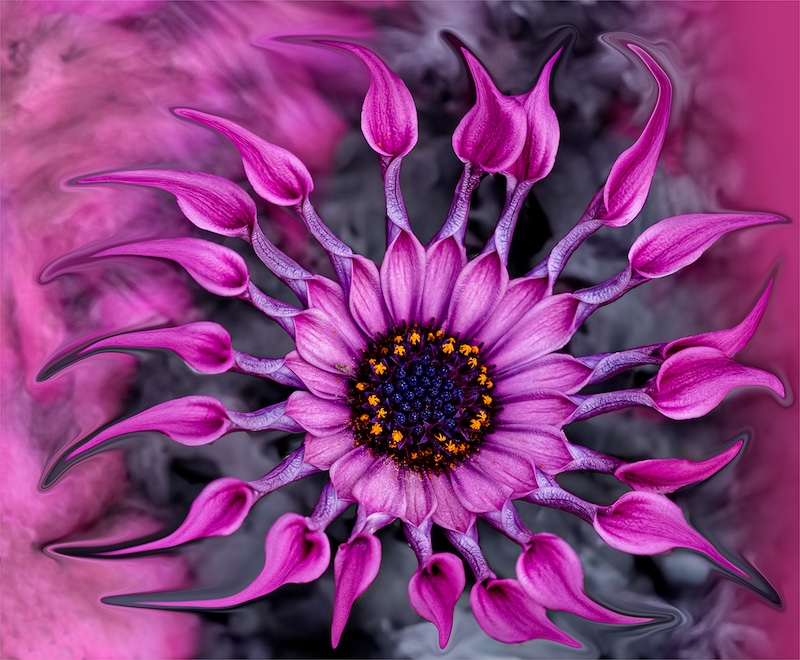 Kroonstad Fotoklub - Dalene Venter - Liquified