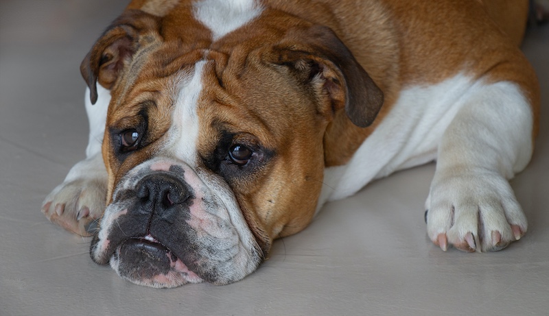 Carol Phillips - Knysna Photographic Society - i need a hug