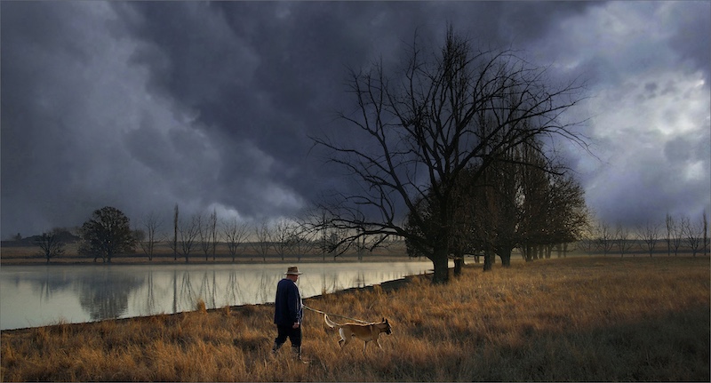 Leon Pelser - Sasol Highveld Photography Club - walking the dog