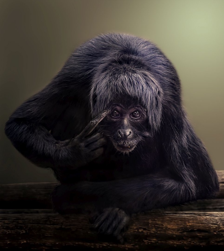 Lynette Taljaard - Kriel Foto Club - Jy dink wat