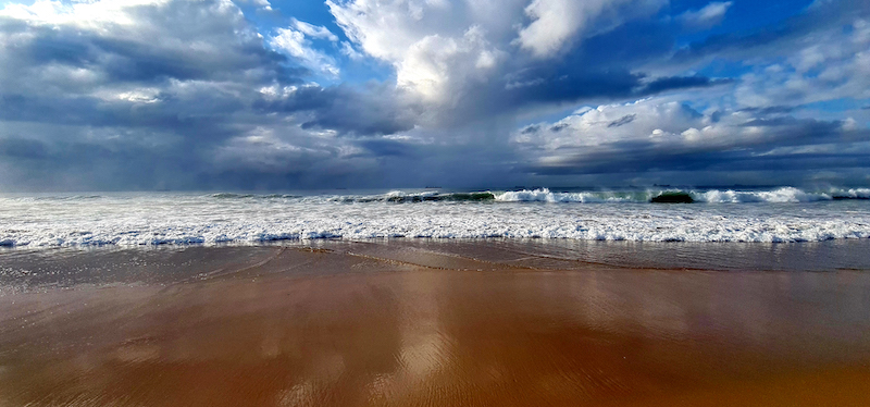 Bronze Medal - Runner Up - Up&Coming Medal-Scholar - Cell Phone Colour-Sandy beach view-Linken Noble- Independent