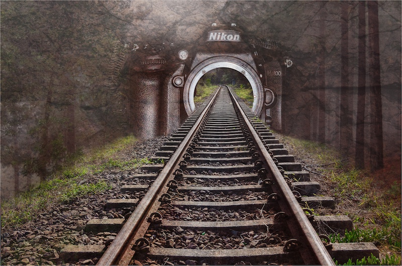 PSSA Bronze Medal-Juniors - Open Colour-Portal to other worlds-Karin du Toit-Pretoria Photographic Society
