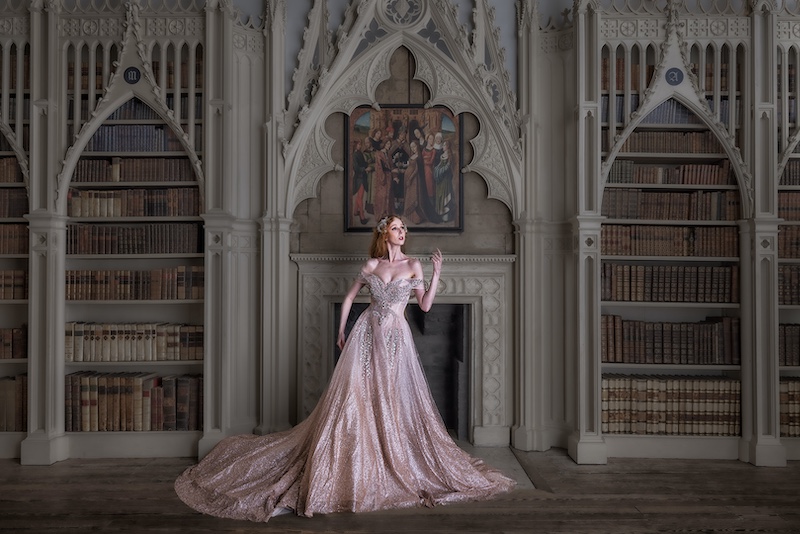 Best Panel-Open Colour-Glamour in the library-David Wheeler-United Kingdom