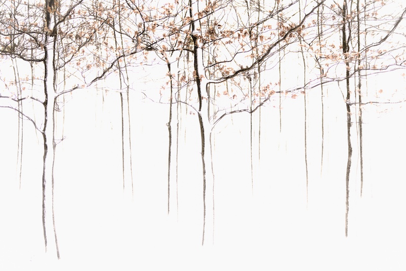 FIAP GOLD MEDAL-VISUAL ART-WINTER -HELMUT PAUL-GERMANY