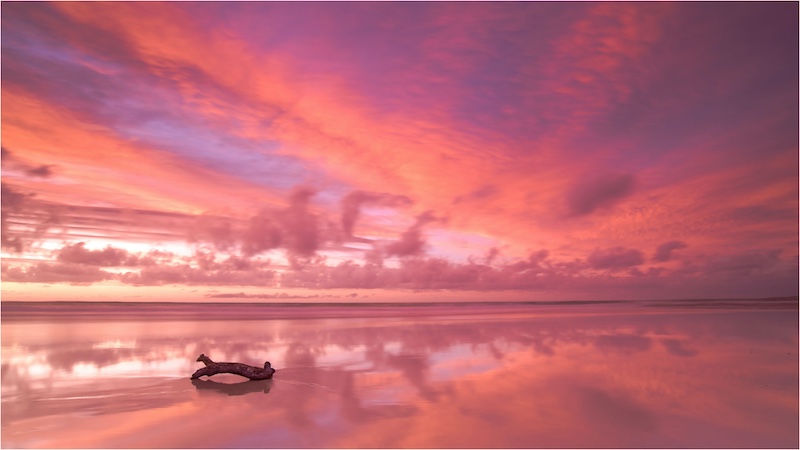 AFO Bronze medal for best AFO entry - Scapes - Uitgespoelde stomp - AJ de Klerk - AFO.jpeg