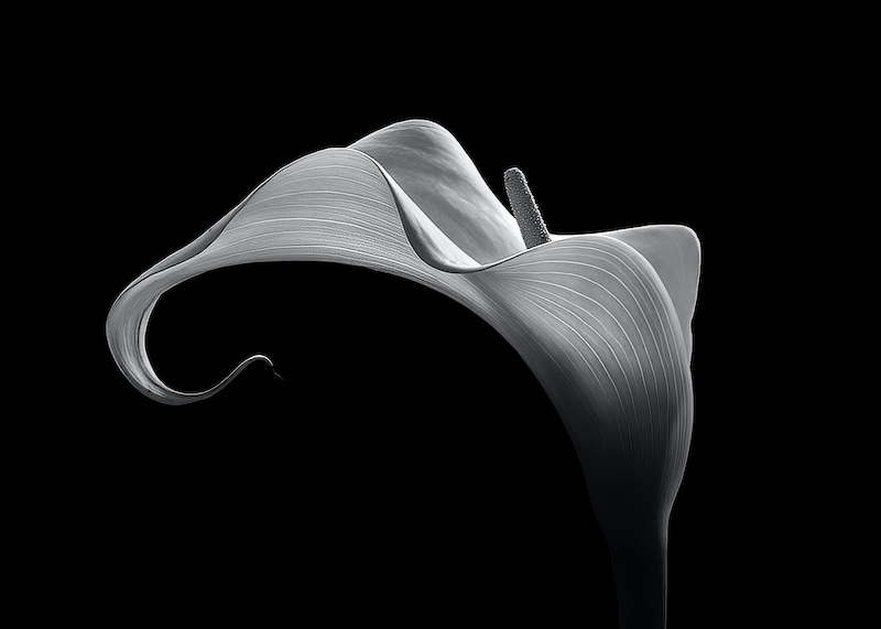 PSSA Silver medal - Open mono - Beautiful Lines - Leon Heyas - Maritzburg CC.jpeg