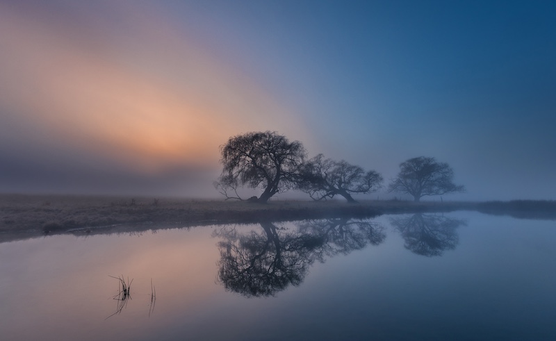 Benoni Silver - Scapes - Colour - Tree reflections on a misty morning - Alta Oosthuizen - National Photographic Club