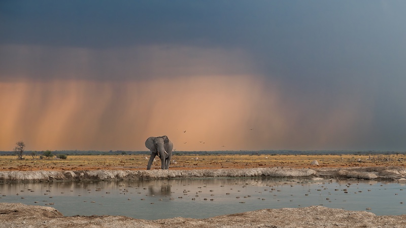 PSSA Silver - Scapes - Colour - The rains in Africa - Christo Giliomee - Tafelberg  Fotografieklub