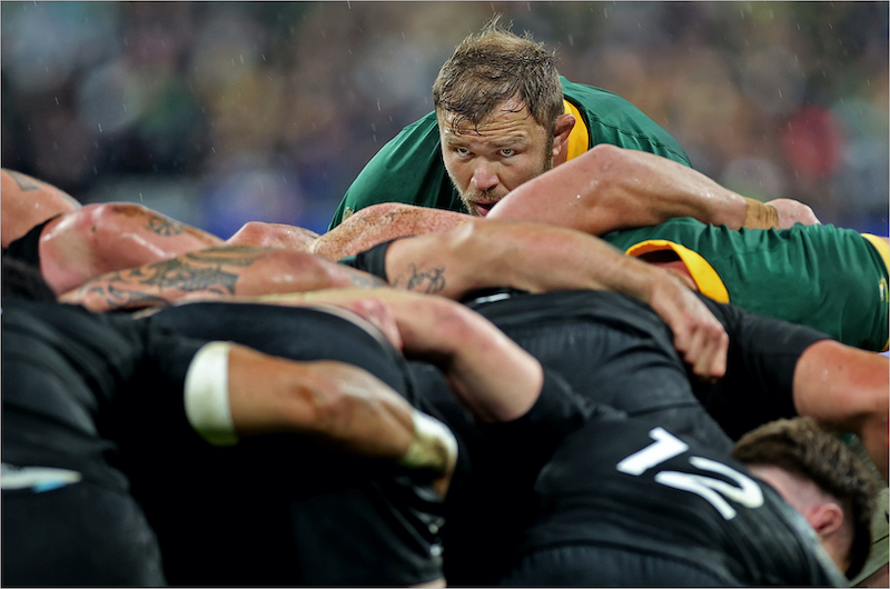 PSSA Silver Medal - Open Colour - Leader of the pack - Johan Orton - Afo Photography Club