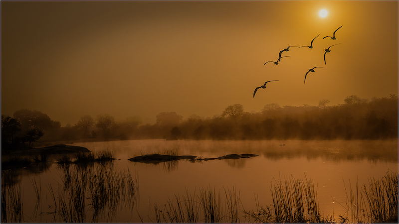 PSSA Silver Medal - Scapes Colour - Sunrise over misty Transport dam 8450 - Willie Labuschagne - Magalies Foto Fun Club