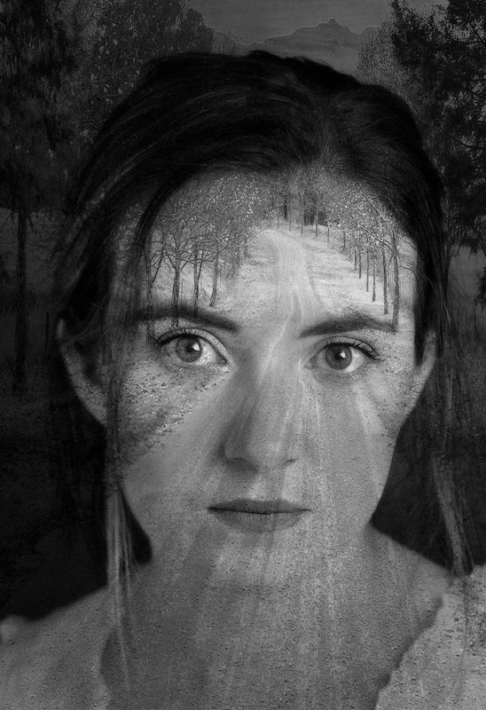 PSSA Silver Medal - Open Monochrome -mindscape mono - Elsabe  du Toit - Hibiscus Coast Photographic Society