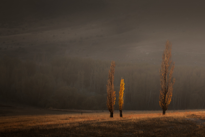 PSSA MEDAL- Scapes - Colour -Early rays -Henk Scheepers-Vanderbijlpark Fotografiese Vereniging