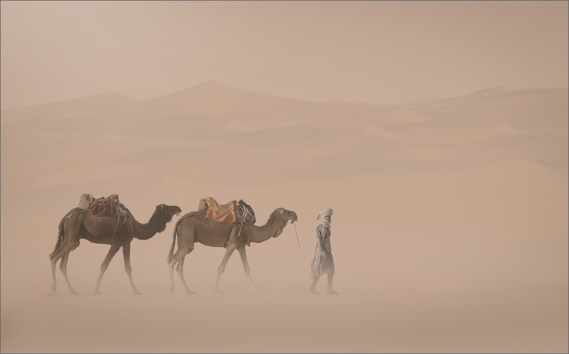 PSSA Silver Medal - Open Colour - Sahara sandstorm - Kazalette Pike - Westville Camera Club