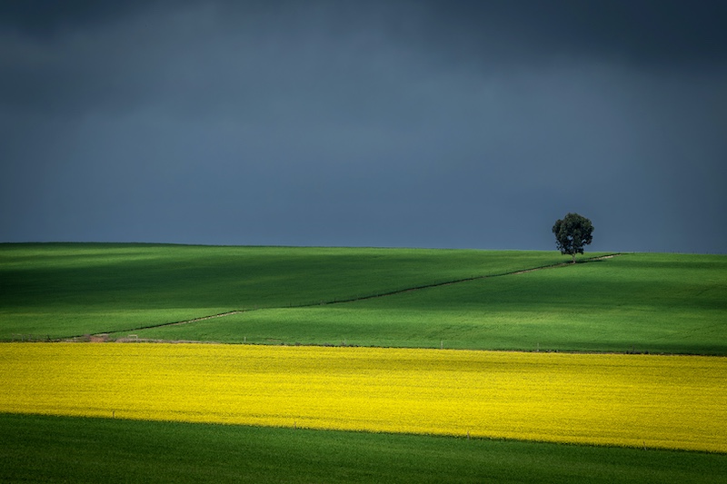 PSSA Silver Medal - Scapes - Colour - Moody Overberg - Ana Kaplan - Sandton Photographic Society