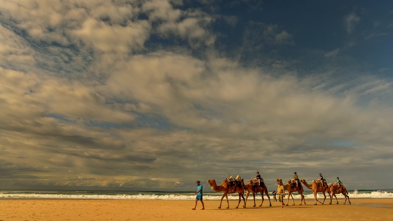 Best MFFC Member Entry - Club Medal - Open Colour - Camel ride Fort MacQuarrie 5780 - Willie Labuschagne - Magalies Foto Fun Club