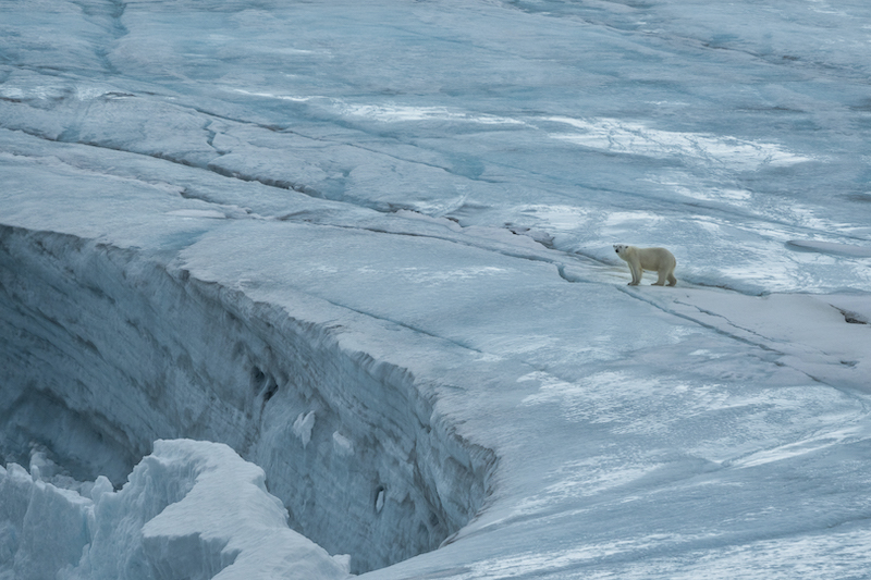 PSSA Silver Medal-Icy-Environment-Nature-no-birds-Heather-Meintjies-Jeffreys-Bay-Cameraclub