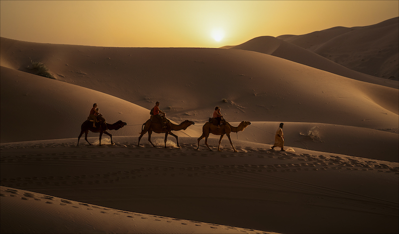 PSSA Medal-Open Colour-Homeward bound-Andrew Pike-Westville Camera Club