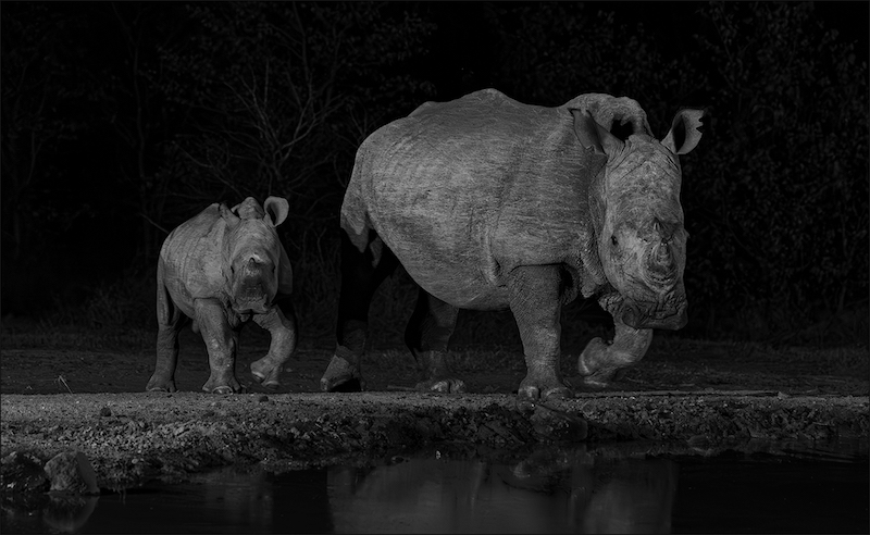 PSSA medal- Open Monochrome-Saam by die water-Leon Drotsky-Ermelo Foto Klub