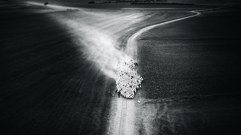 FIAP Gold Medal-Photo Travel-dust on the path-Jose Agustin Gurruchaga-Spain