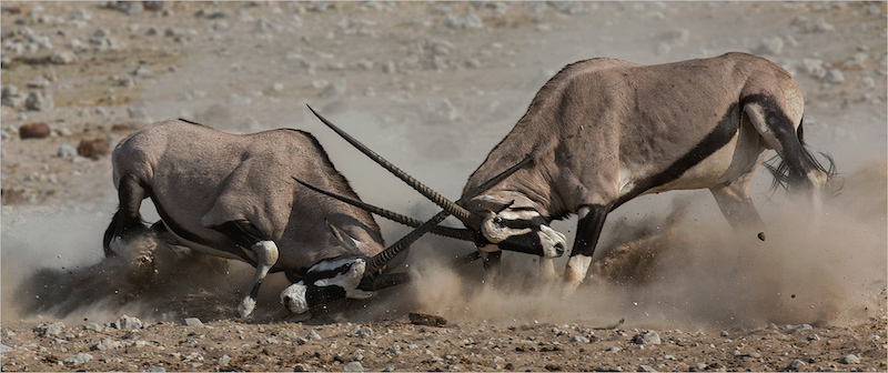 VFV Silver Medal - Nature - No Birds - Colour - Cross point - Annette  Ligthelm - AFO Photography Club
