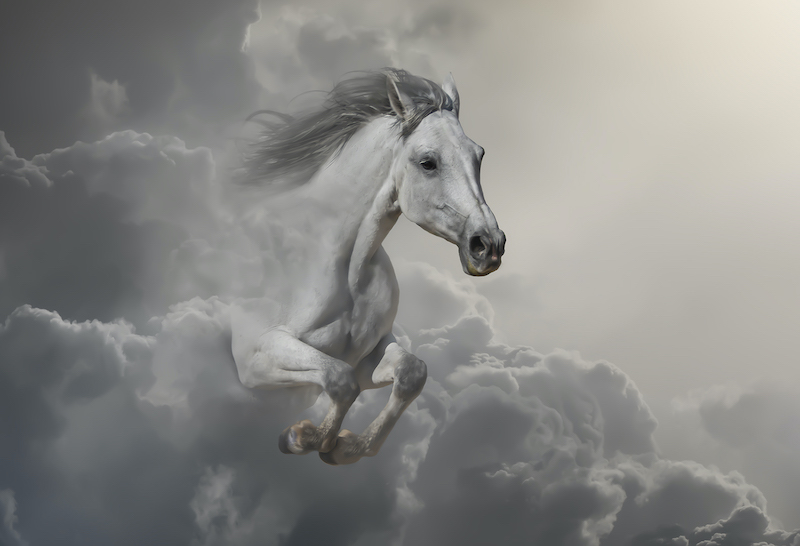 PSSA Silver Medal - Visual Art - Colour - Mystical horse - Cathy Dooley - Southern Suburbs Camera Club