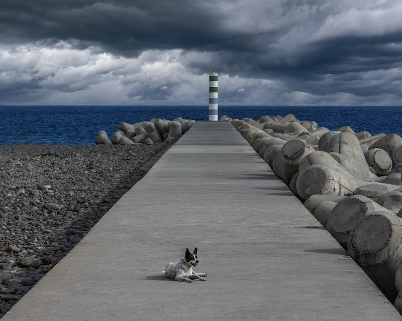 Westville Club Bronze Medal - Open Colour - Enjoying the sunshine before the storm - Jill Ferraz - Westville Camera Club